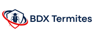 BDX Termites Libourne